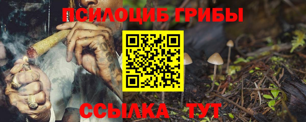 Алапаевск  Псилоцибиновые грибы прущие грибы  Вход с VPN 
